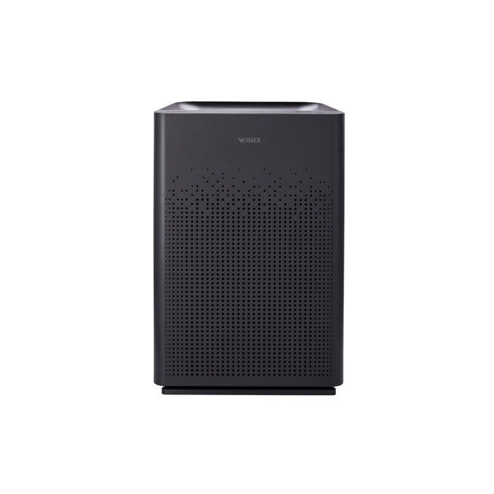 Winix AM80 4Stage True HEPA Air Purifier with Washable AOC Carbon